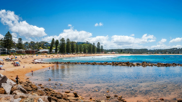A sunny, tree lined beach dotted with people, on a curved bay divided by a line of rocks.