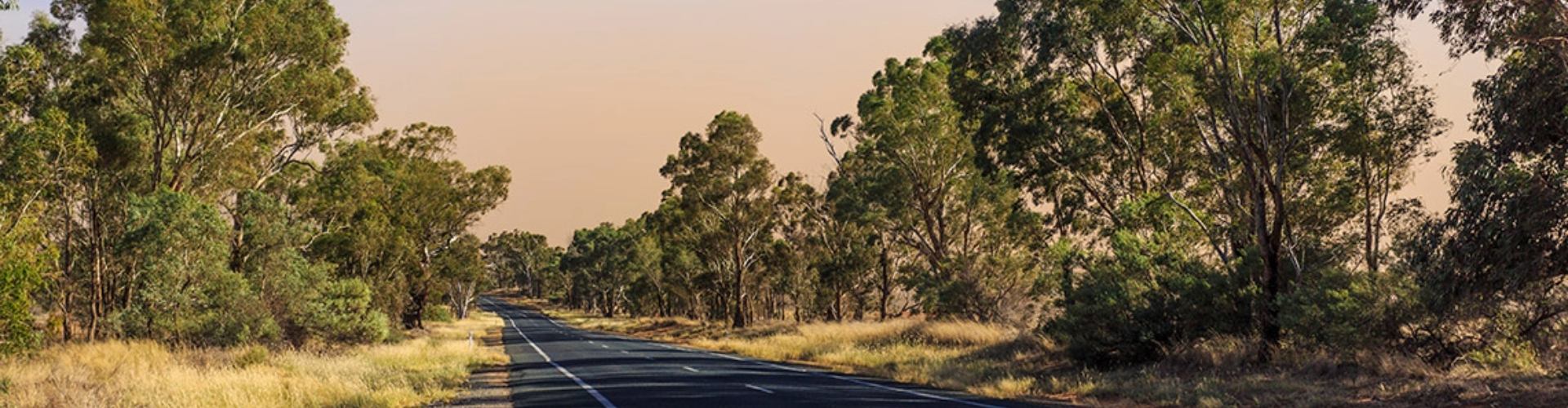 Bathurst to Wagga Wagga road trip NSW empty stretch of sealed road cuts through fields and bushland