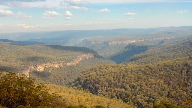 arial view across the treetops and valley