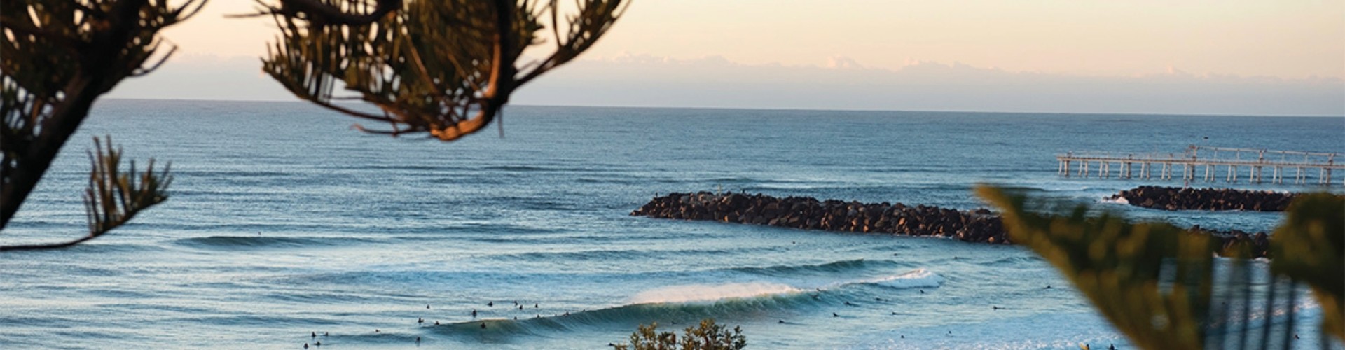 Byron Bay hinterlands NSW ocean view view of ocean and jetty with tropical foliage in the foreground