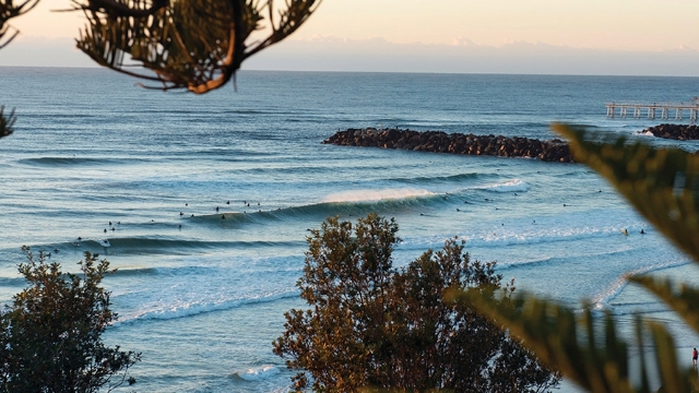 view of ocean and jetty with tropical foliage in the foreground