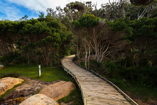 Tidal River Campground, Wilsons Promontory National Park, Tidal River