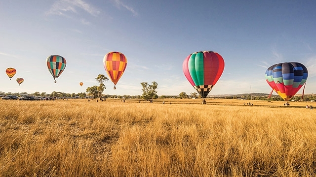 hot air balloons take off at Canowindra balloon challenge nsw
