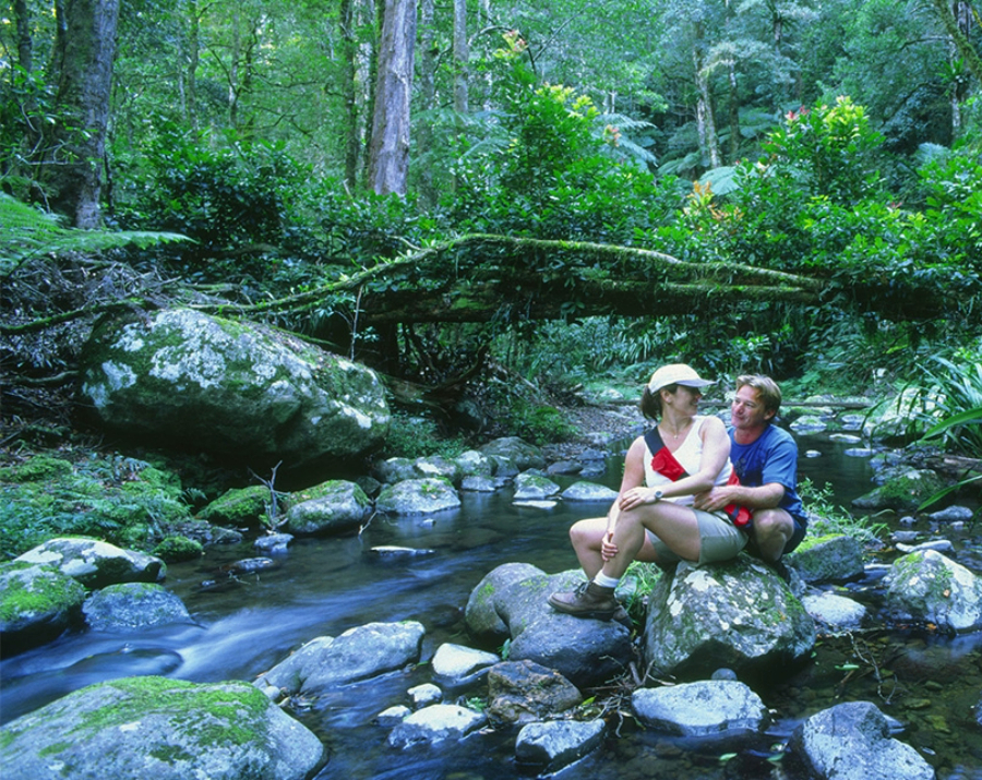 couple-at-border-ranges-park-nsw-900x715 Slide 4
