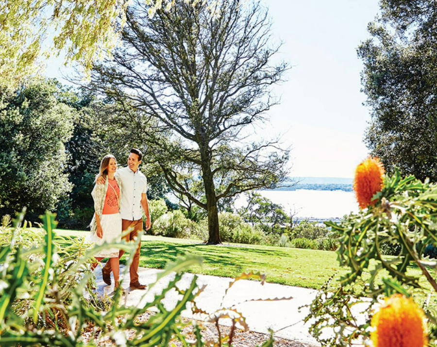 couple-at-kings-park-gardens-wa-900x715 Slide 1