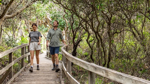 A couple walks along a wooden path surrounded by dense forest and vine-like trees, as sunlight filters in above.