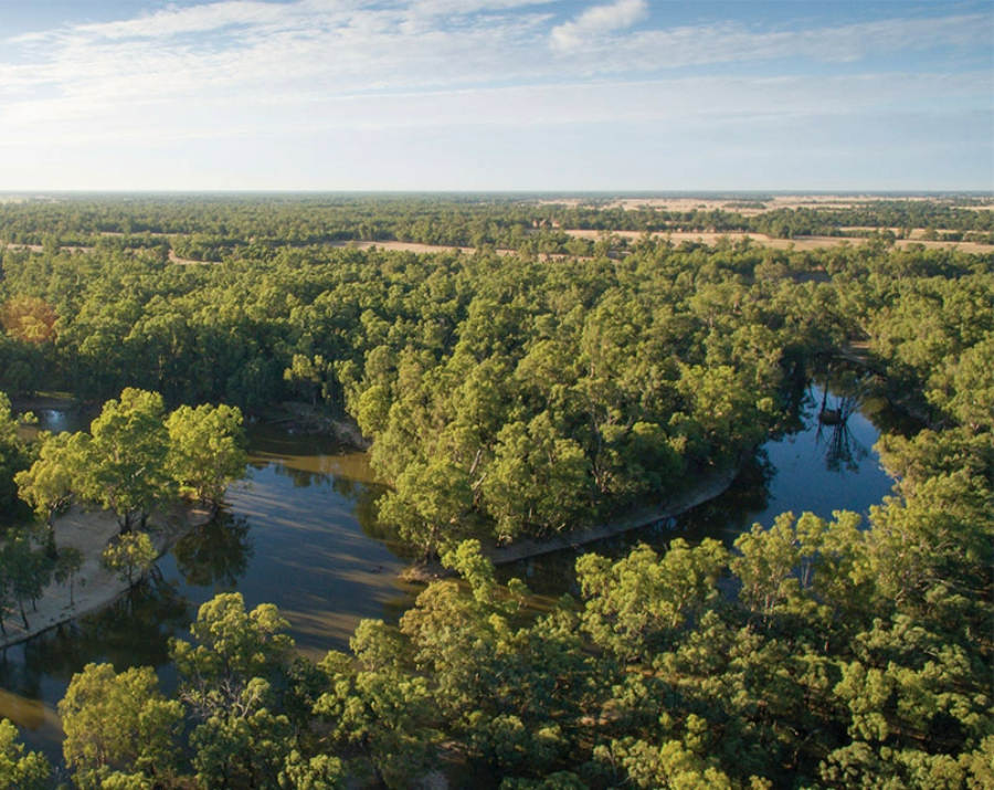 edward-river-deniliquin-nsw-900x715 Slide 3