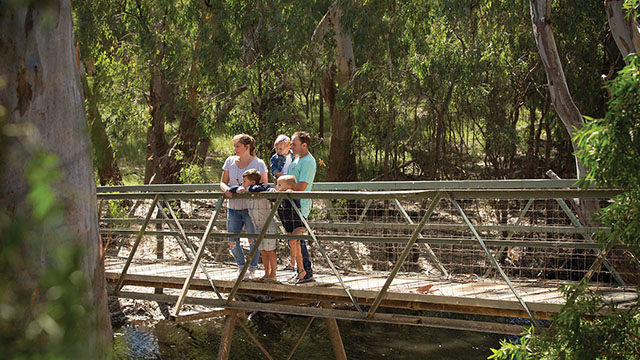 A couple, with a baby and two kids, standing on a walking bridge in a sunlit forest.