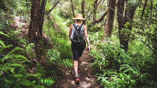 female hiker Lamington National Park QLD