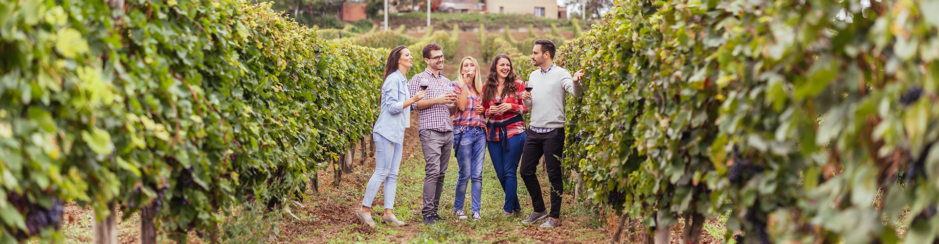 five friends in a vineyard drinking red wine