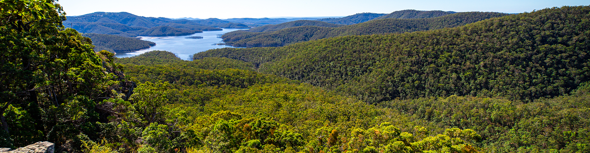 Panorama of advancetown lake and springbrook national park as seen from the top of pages pinnacle mountain ridge