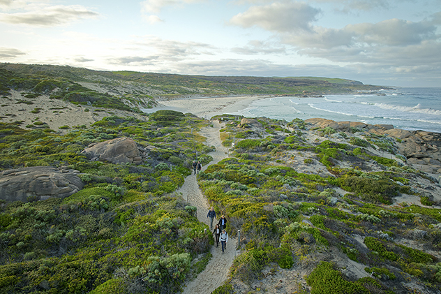 People walking on a sandy trail near the ocean