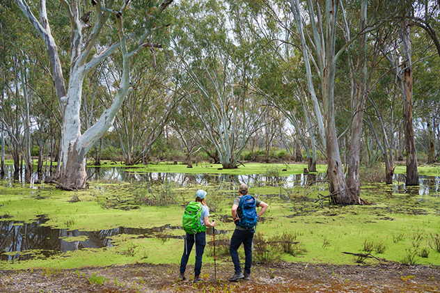 Two hikers standing next to a swamp