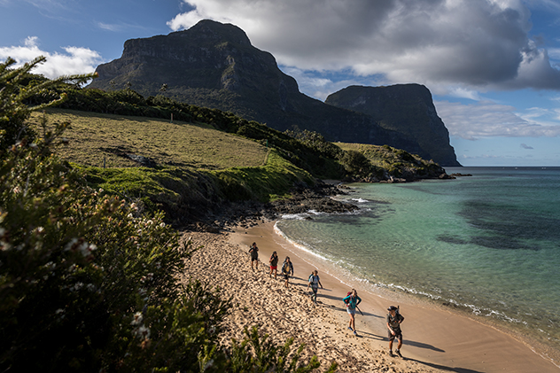 A group of people walking single file on a beach