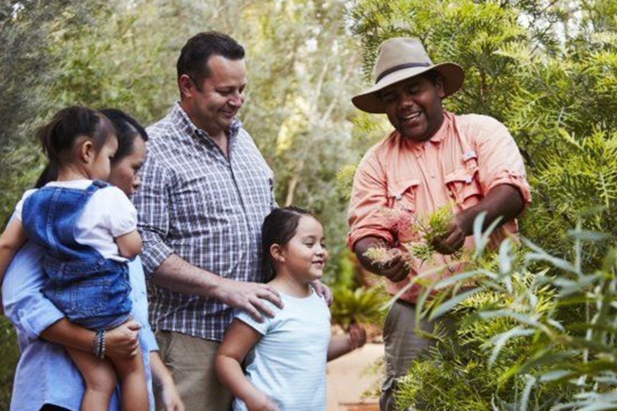 indigenous-man-and-plants-nt-1200x800 Slide 3