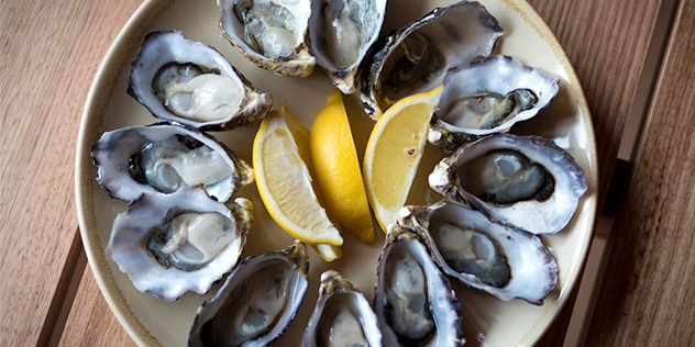 Oysters on a plate