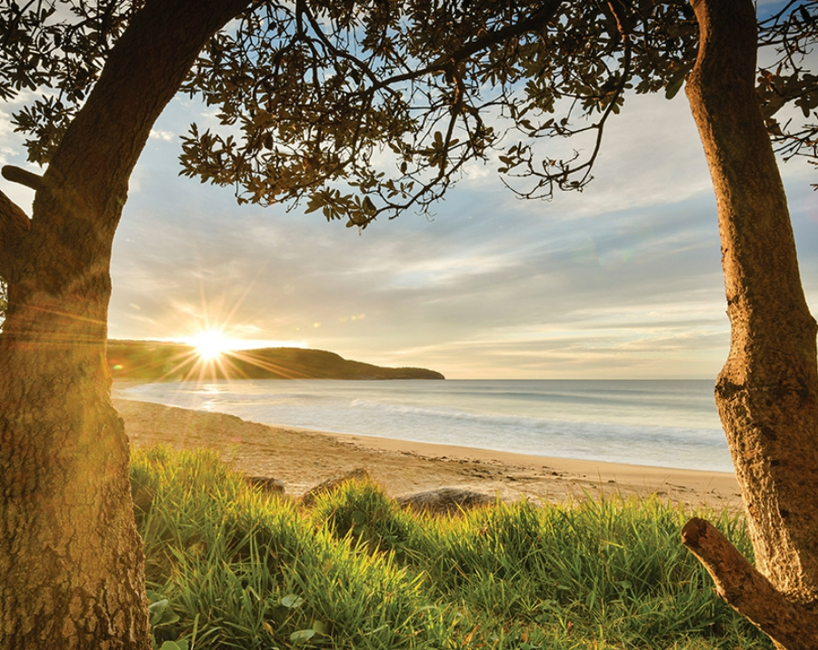 killcare-beach-nsw-900x715 Slide 2