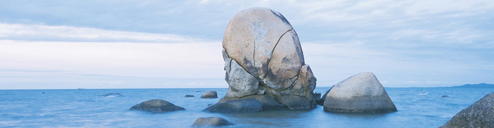 Lockhart river boulder and tree egg shaped boulder and mangrove tree on the shoreline of the beach