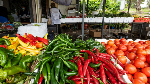 A bench at a market full of red, yellow and green peppers and tomatoes at Sydney's urban farms.