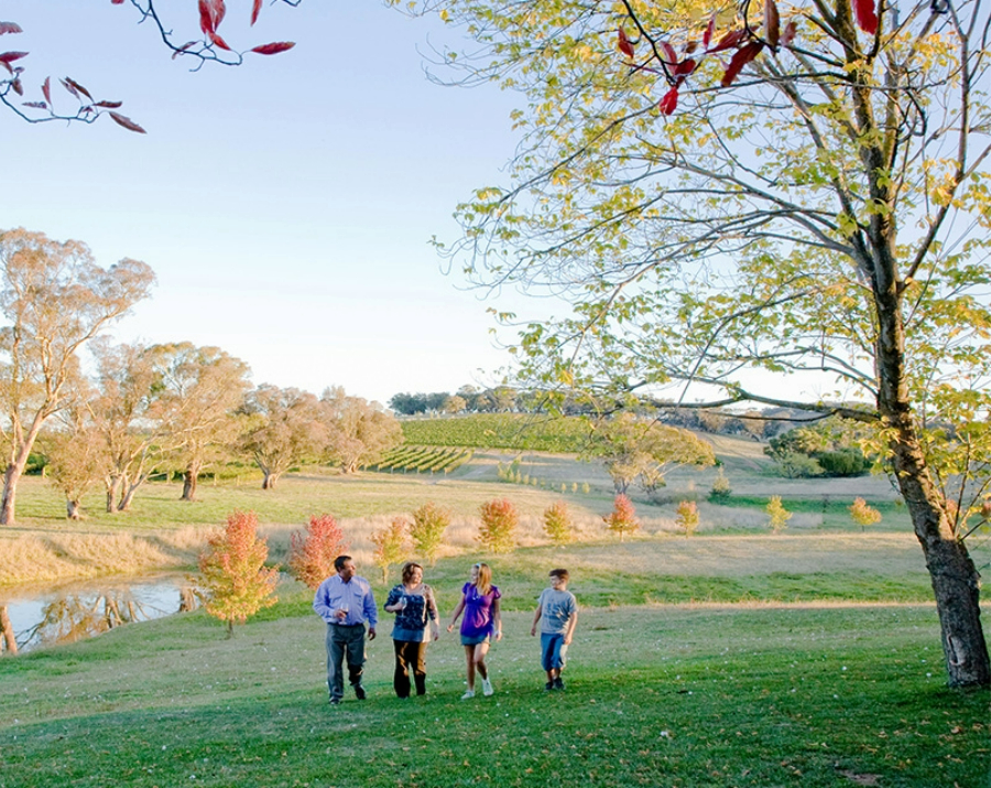 mayfield-vineyard-orange-nsw-900x715 Slide 4