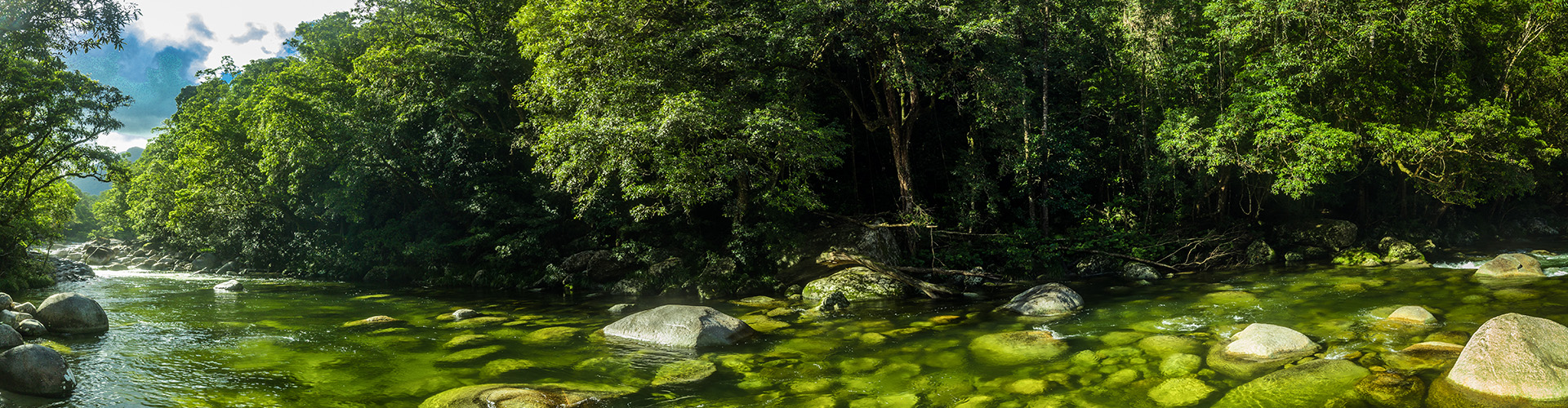 Mossman Gorge