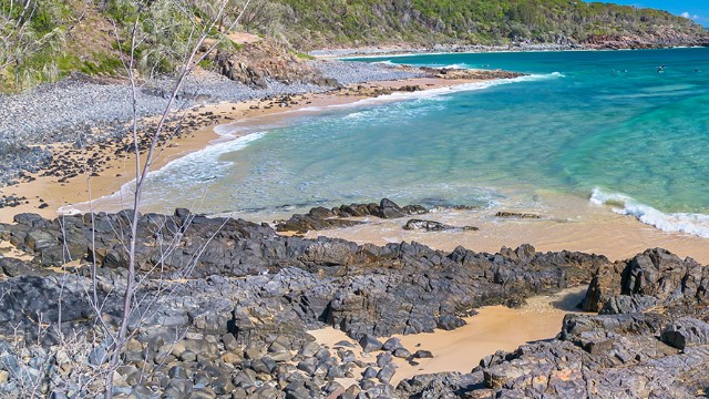 A rocky, sandy surf beach, with a forested shoreline, beside the Coast Track in Noosa National Park. 
