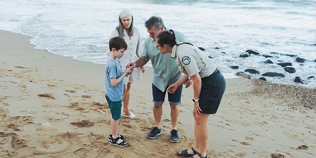 Turtle encounters with a family on the beach at Turtle Sands