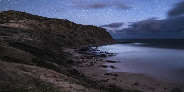 Petrel Cove SA
