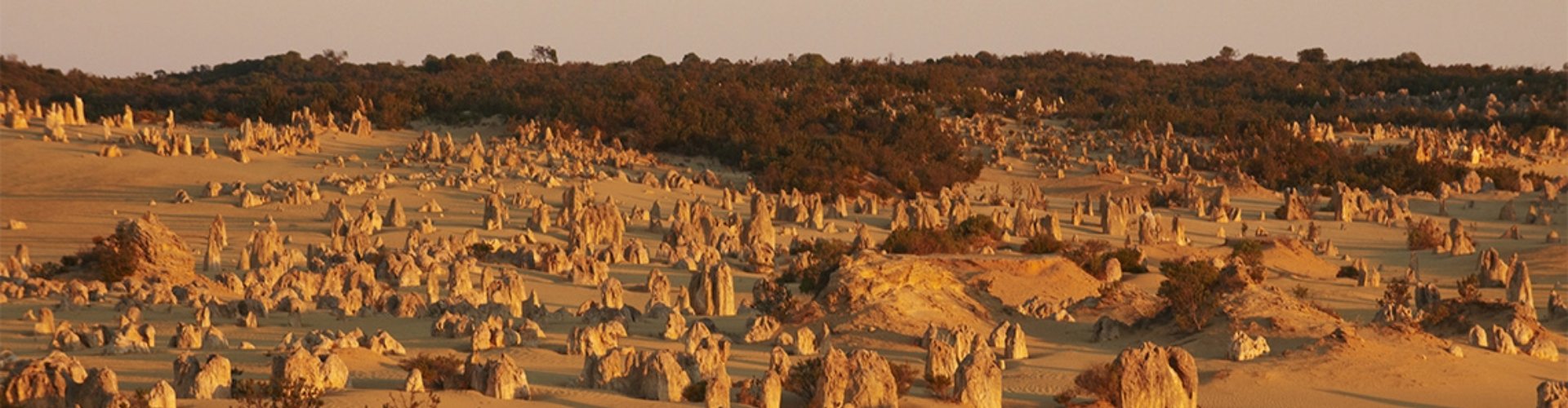 unusual limestone rounded rocks protrude from desert sand