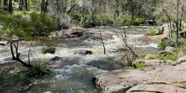 A fast running creek like river dotted with rocks and lined by trees and scrub.