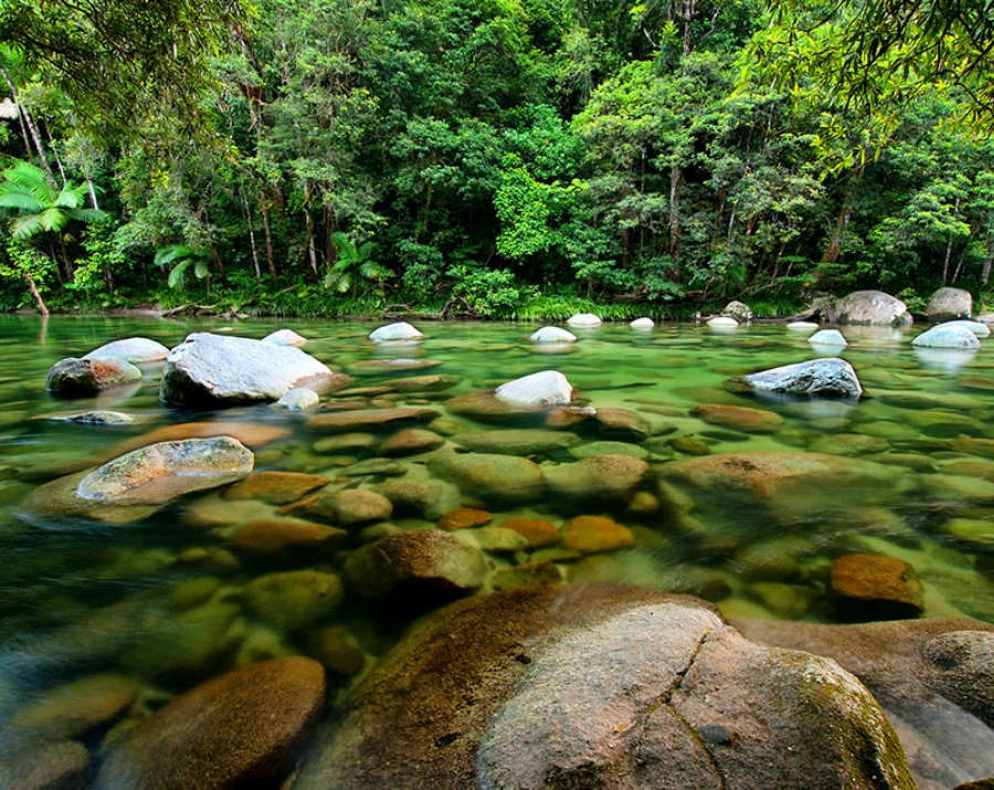 rockpool-daintree-national-park-qld-900x715 Slide 2