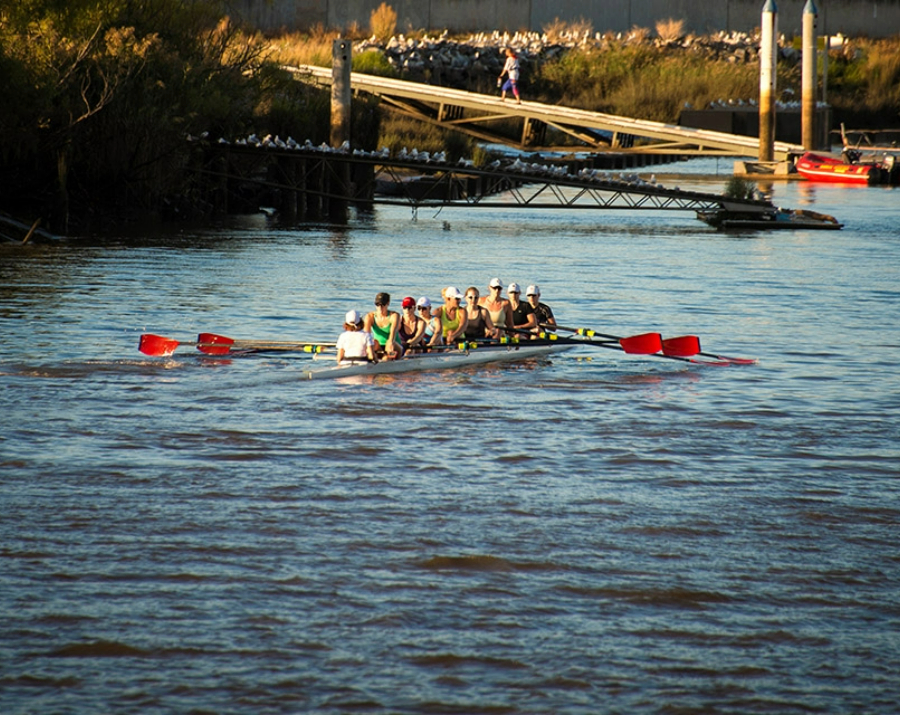 rowing-on-tamar-river-tas-900x715 Slide 4