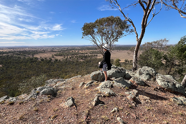 View from Mount Tilga outside Condobolin