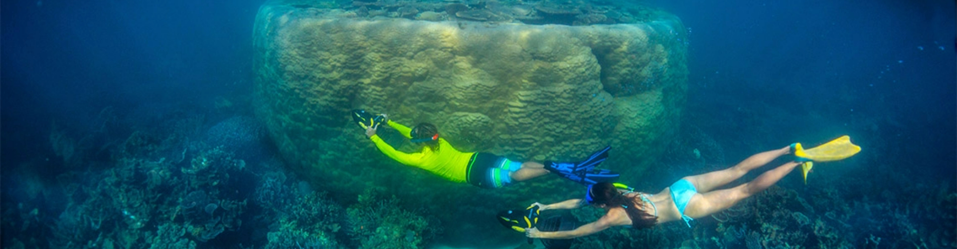 snorkellers-at-ningaloo-reef-wa-1920x500 Two snorkelers dive around a large round coral formation, surrounded by other corals.
