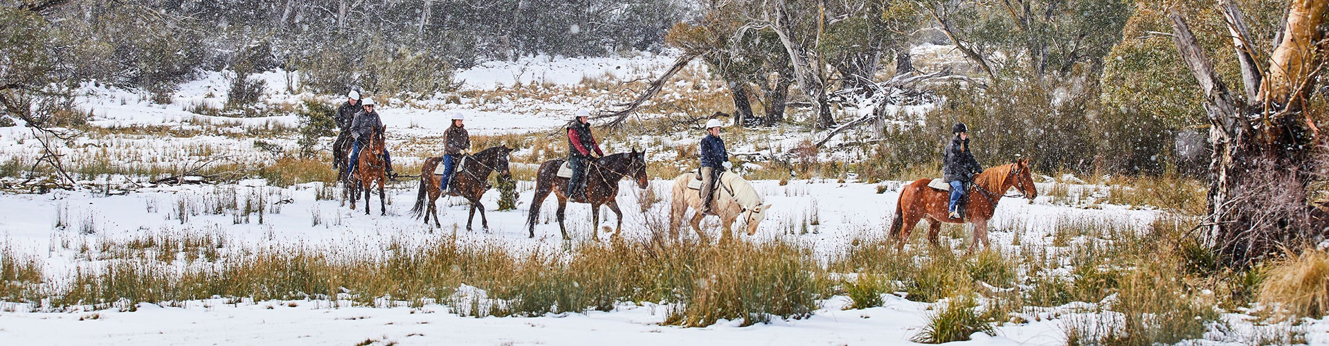 A group of people riding horses through the snowy woods