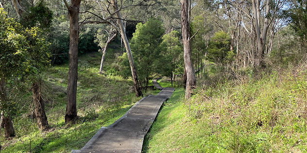 Bellbird track
