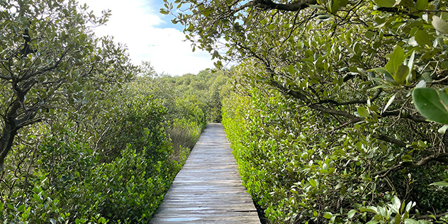 Saltpan Creek