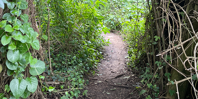 Two valley trail