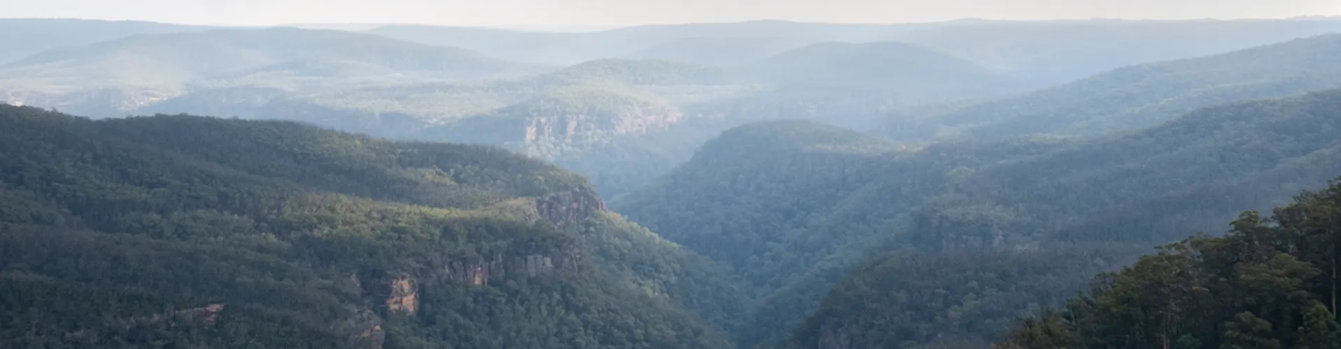 Misty forested mountains and deep valleys under a cloudy sky, with dense green trees covering the landscape.