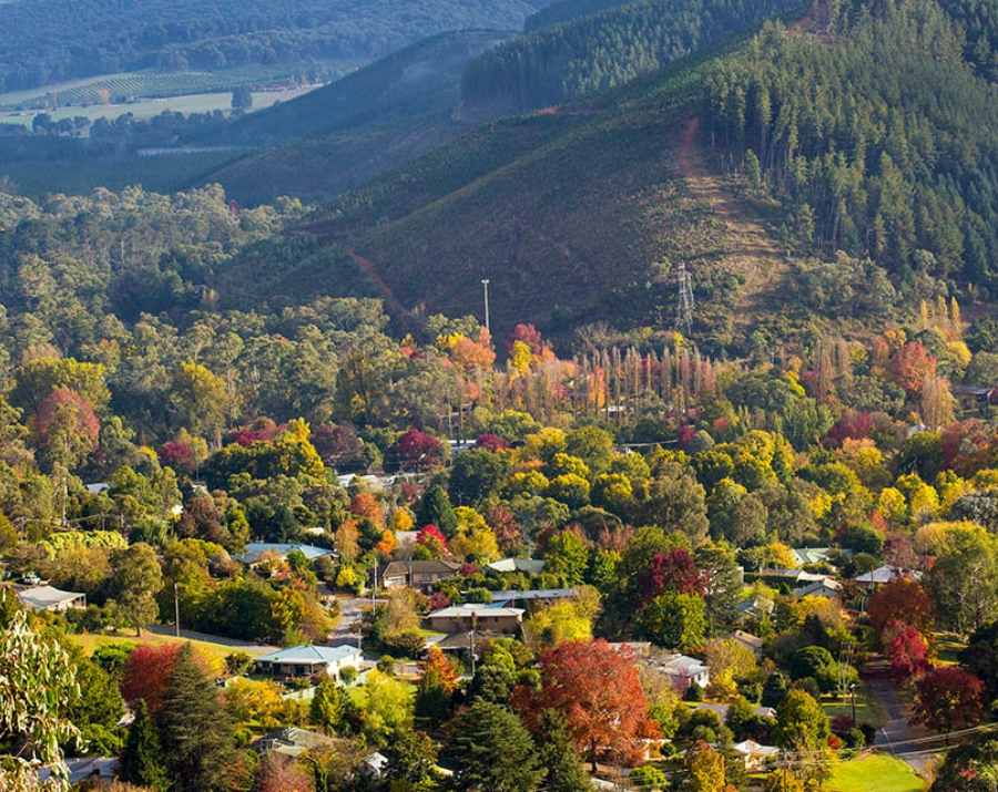 town-of-bright-vic-900x715 Slide 1