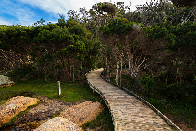 Wilsons Promontory