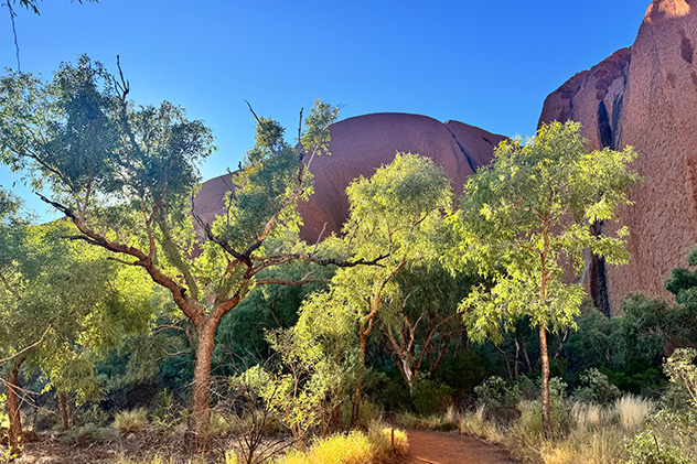 Mala walk on Desert Awakenings tour of Uluru
