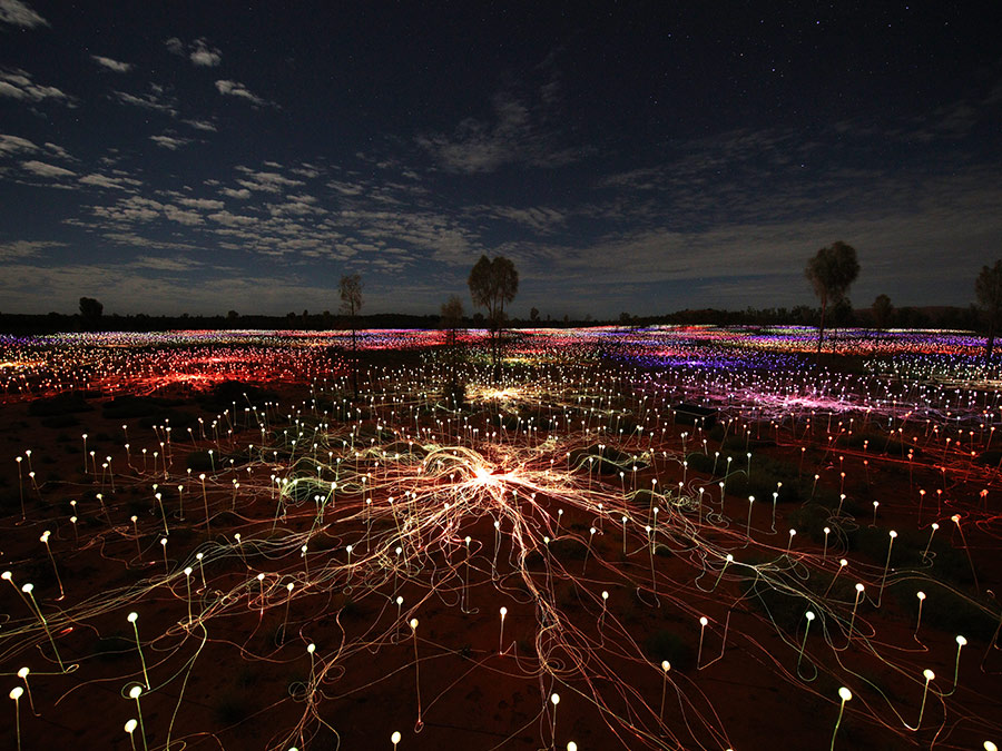 Field of lights experience