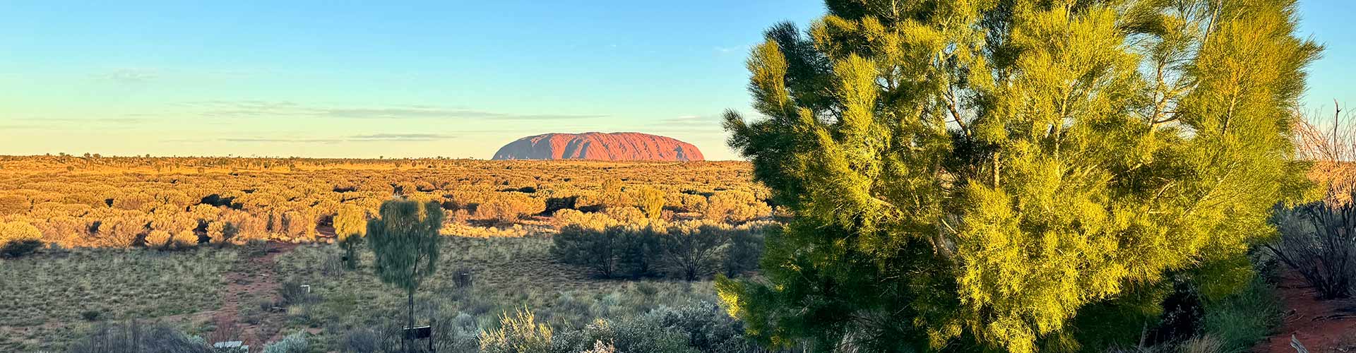 Wintjiri Wiru view of Uluru