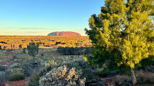 Wintjiri Wiru view of Uluru