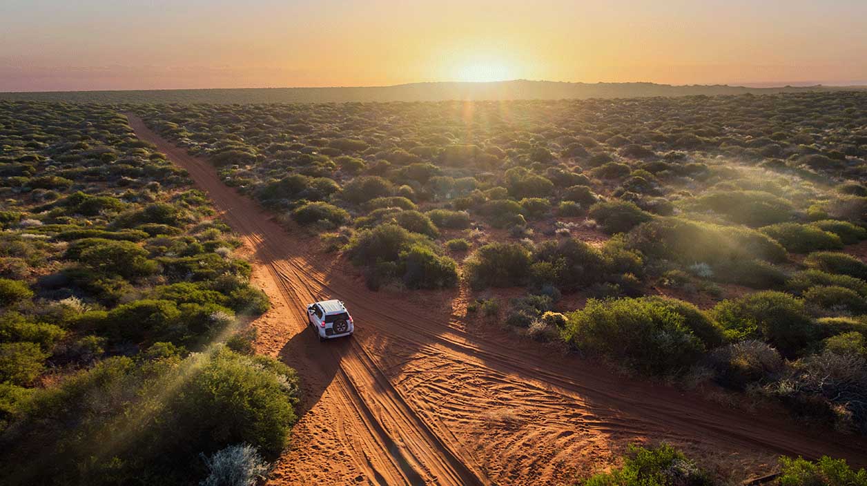 Annual Reports and AGM