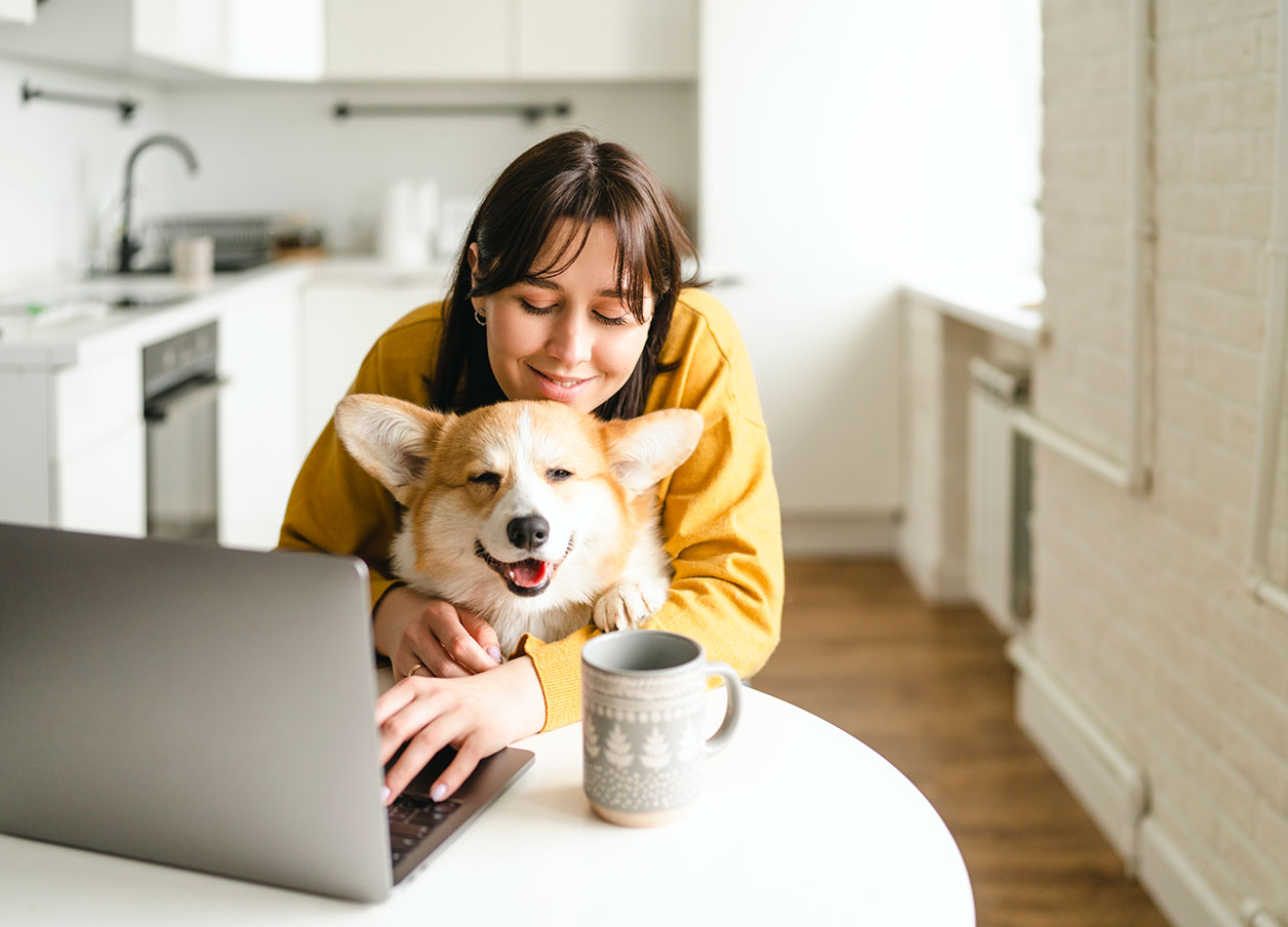 eGiftCardsHeadless_Web