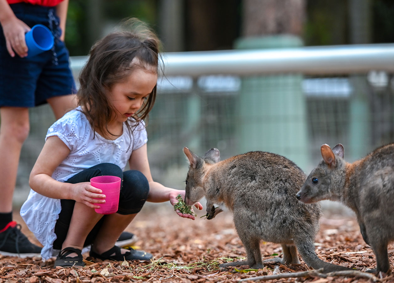 FeatherdaleHeadless_Web