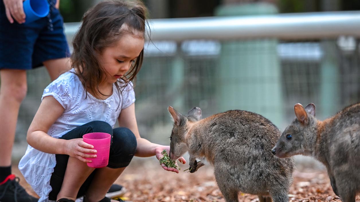 Featherdale Wildlife Park