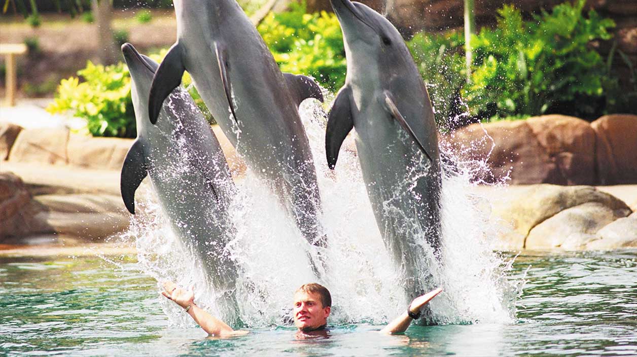 Sea World Gold Coast